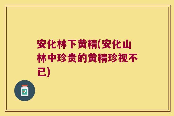 安化林下黄精(安化山林中珍贵的黄精珍视不已) 安化林下黄精(安化山林中珍贵的黄精珍视不已)