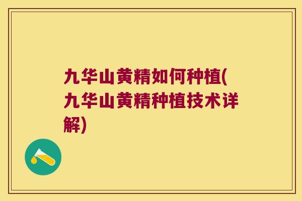 九华山黄精如何种植(九华山黄精种植技术详解) 九华山黄精如何种植(九华山黄精种植技术详解)
