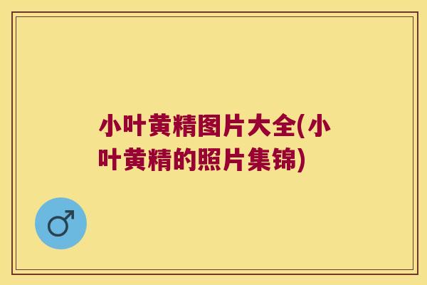 小叶黄精图片大全(小叶黄精的照片集锦)