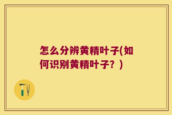 怎么分辨黄精叶子(如何识别黄精叶子?) 怎么分辨黄精叶子(如何识别黄精叶子?)
