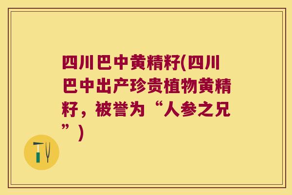 四川巴中黄精籽(四川巴中出产珍贵植物黄精籽，被誉为“人参之兄”)