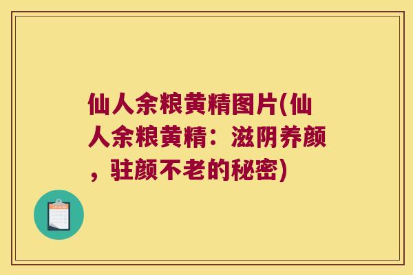 仙人余粮黄精图片(仙人余粮黄精:滋阴养颜,驻颜不老的秘密) 仙人余粮黄精图片(仙人余粮黄精:滋阴养颜,驻颜不老的秘密)