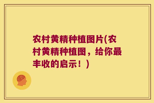 农村黄精种植图片(农村黄精种植图，给你丰收的启示！)