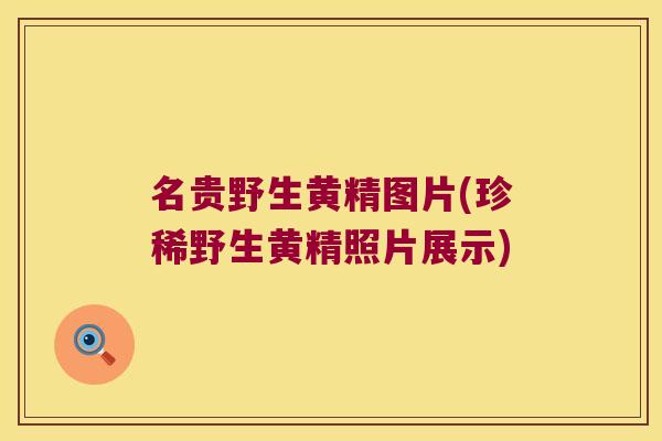名贵野生黄精图片(珍稀野生黄精照片展示)