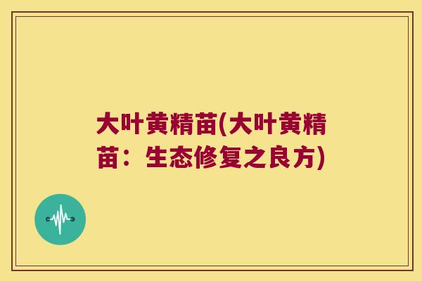 大叶黄精苗(大叶黄精苗：生态修复之良方)