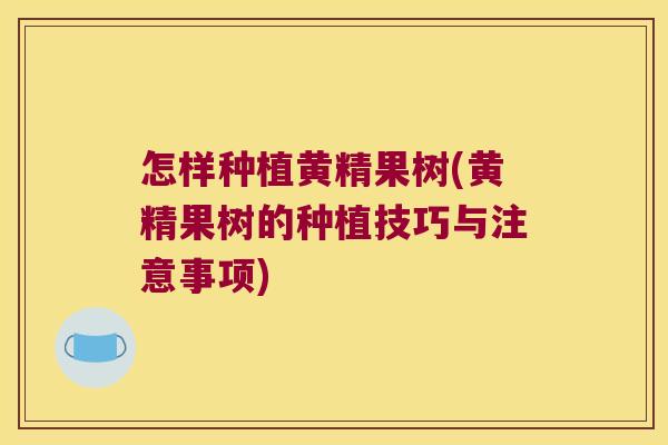 怎样种植黄精果树(黄精果树的种植技巧与注意事项)