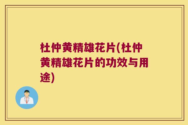 杜仲黄精雄花片(杜仲黄精雄花片的功效与用途)