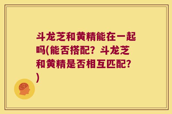 斗龙芝和黄精能在一起吗(能否搭配？斗龙芝和黄精是否相互匹配？)