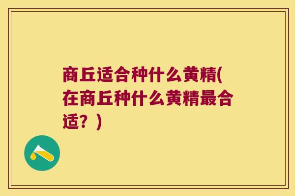 商丘适合种什么黄精(在商丘种什么黄精合适？)