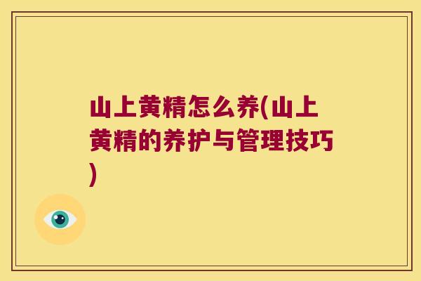 山上黄精怎么养(山上黄精的养护与管理技巧)
