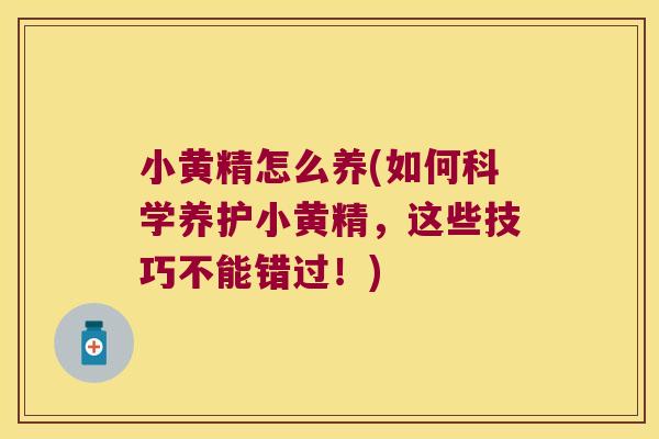 小黄精怎么养(如何科学养护小黄精，这些技巧不能错过！)