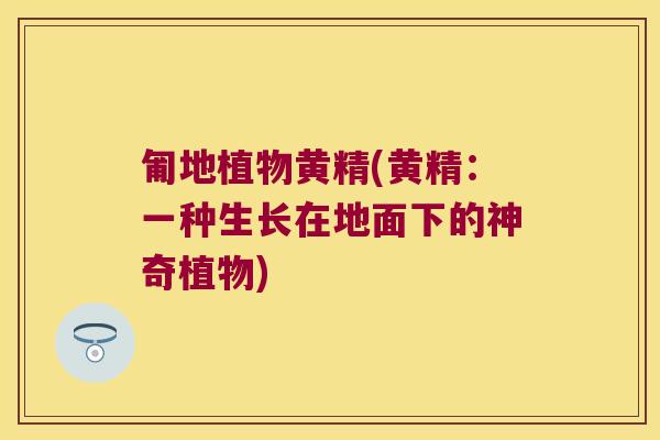 匍地植物黄精(黄精:一种生长在地面下的神奇植物) 匍地植物黄精(黄精:一种生长在地面下的神奇植物)