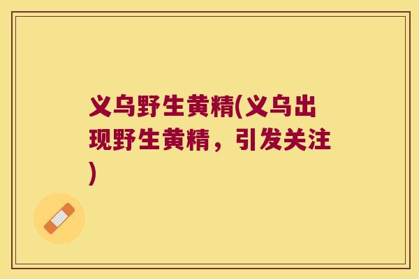 义乌野生黄精(义乌出现野生黄精，引发关注)