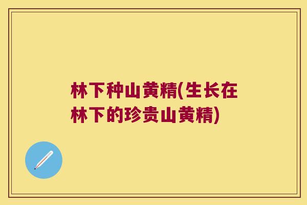 林下种山黄精(生长在林下的珍贵山黄精)