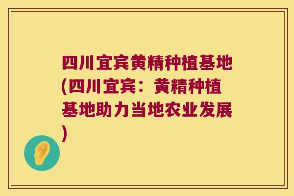 四川宜宾黄精种植基地(四川宜宾:黄精种植基地助力当地农业发展) 四川宜宾黄精种植基地(四川宜宾:黄精种植基地助力当地农业发展)