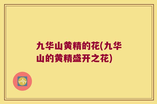 九华山黄精的花(九华山的黄精盛开之花) 九华山黄精的花(九华山的黄精盛开之花)