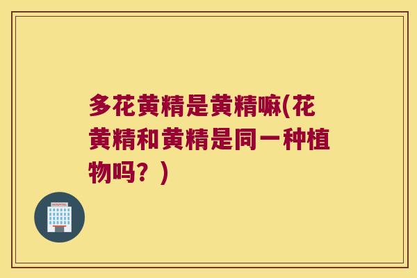 多花黄精是黄精嘛(花黄精和黄精是同一种植物吗？)