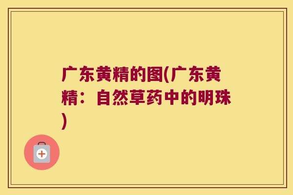 广东黄精的图(广东黄精：自然草药中的明珠)