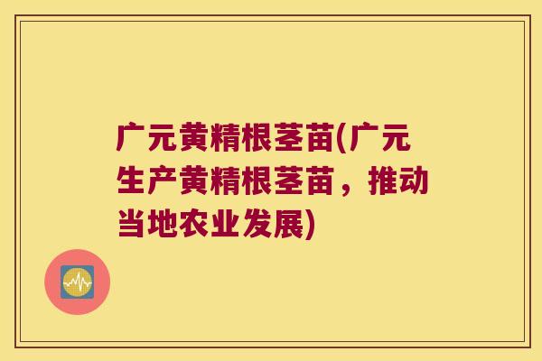 广元黄精根茎苗(广元生产黄精根茎苗,推动当地农业发展) 广元黄精根茎苗(广元生产黄精根茎苗,推动当地农业发展)