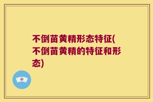 不倒苗黄精形态特征(不倒苗黄精的特征和形态) 不倒苗黄精形态特征(不倒苗黄精的特征和形态)