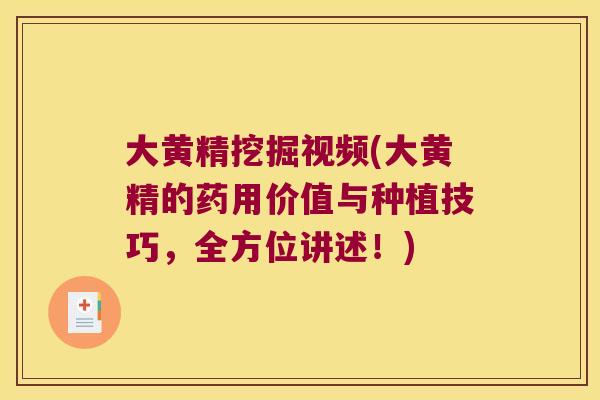 大黄精挖掘视频(大黄精的药用价值与种植技巧,全方位讲述!) 大黄精挖掘视频(大黄精的药用价值与种植技巧,全方位讲述!)