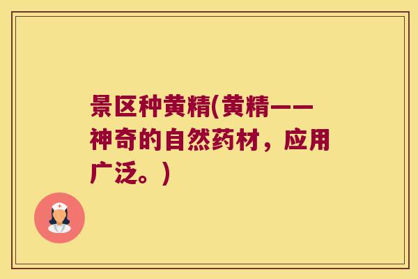 景区种黄精(黄精——神奇的自然药材,应用广泛。) 景区种黄精(黄精——神奇的自然药材,应用广泛。)