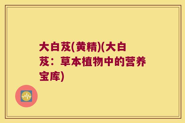 大白芨(黄精)(大白芨：草本植物中的营养宝库)