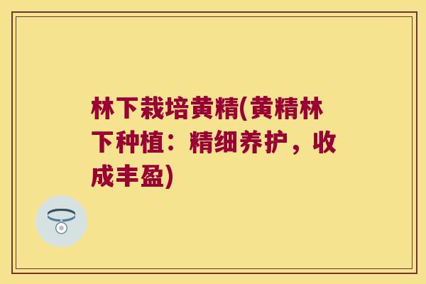 林下栽培黄精(黄精林下种植：精细养护，收成丰盈)