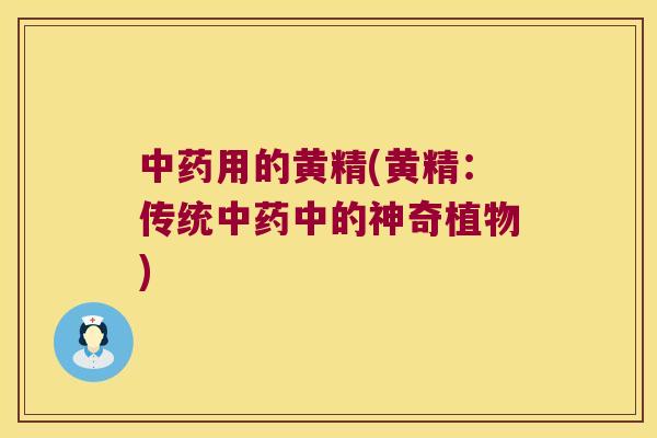 用的黄精(黄精:传统中的神奇植物) 用的黄精(黄精:传统中的神奇植物)
