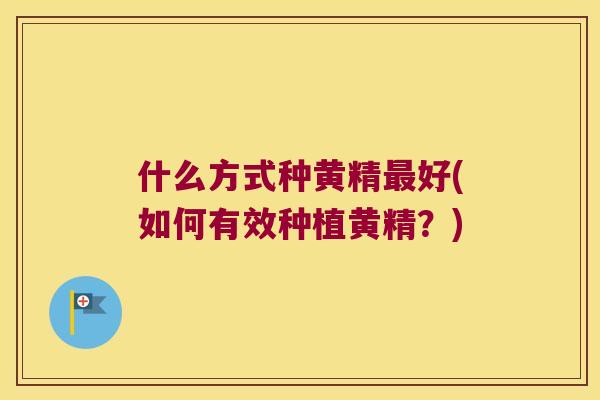 什么方式种黄精好(如何有效种植黄精?) 什么方式种黄精好(如何有效种植黄精?)