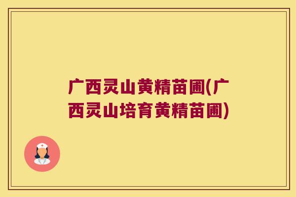 广西灵山黄精苗圃(广西灵山培育黄精苗圃)