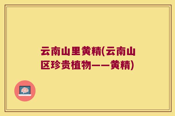 云南山里黄精(云南山区珍贵植物——黄精)