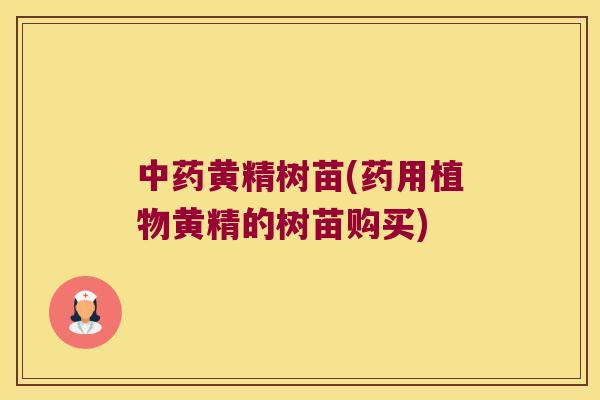黄精树苗(药用植物黄精的树苗购买)