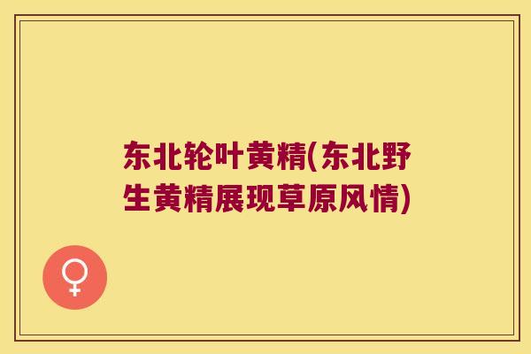 东北轮叶黄精(东北野生黄精展现草原风情) 东北轮叶黄精(东北野生黄精展现草原风情)