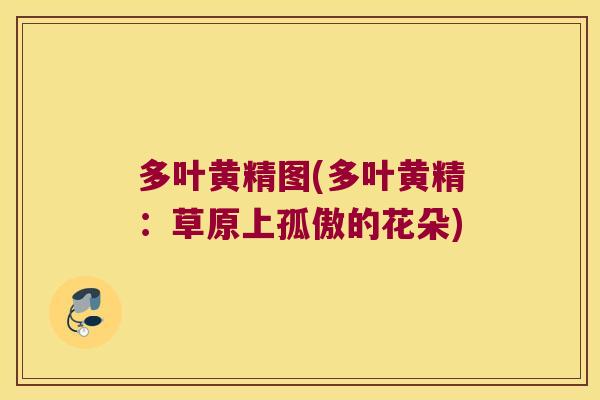 多叶黄精图(多叶黄精:草原上孤傲的花朵) 多叶黄精图(多叶黄精:草原上孤傲的花朵)