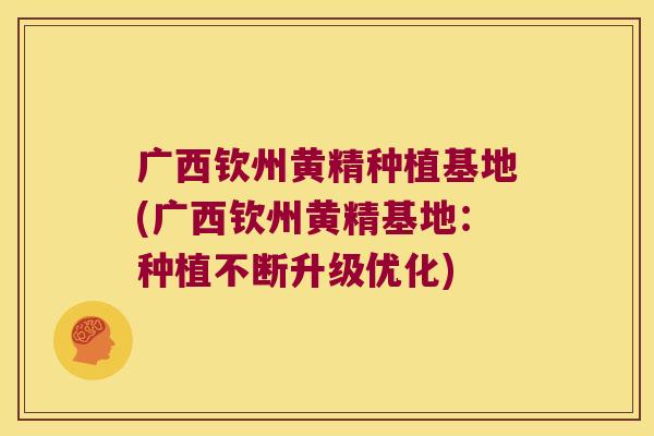 广西钦州黄精种植基地(广西钦州黄精基地：种植不断升级优化)