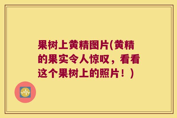 果树上黄精图片(黄精的果实令人惊叹,看看这个果树上的照片!) 果树上黄精图片(黄精的果实令人惊叹,看看这个果树上的照片!)