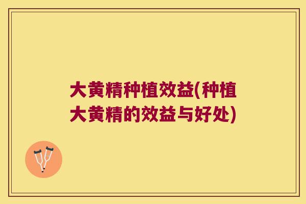 大黄精种植效益(种植大黄精的效益与好处)