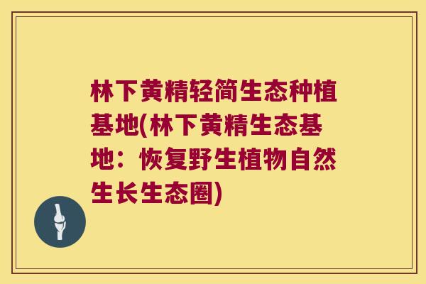 林下黄精轻简生态种植基地(林下黄精生态基地:恢复野生植物自然生长生态圈) 林下黄精轻简生态种植基地(林下黄精生态基地:恢复野生植物自然生长生态圈)