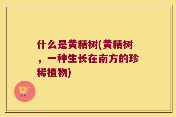 什么是黄精树(黄精树,一种生长在南方的珍稀植物) 什么是黄精树(黄精树,一种生长在南方的珍稀植物)