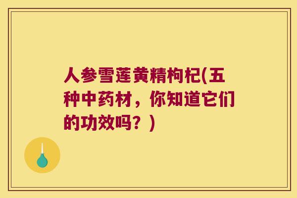 人参雪莲黄精枸杞(五种材,你知道它们的功效吗?) 人参雪莲黄精枸杞(五种材,你知道它们的功效吗?)