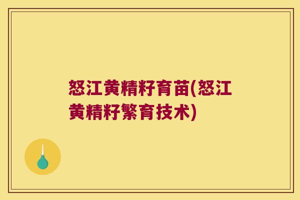 怒江黄精籽育苗(怒江黄精籽繁育技术)