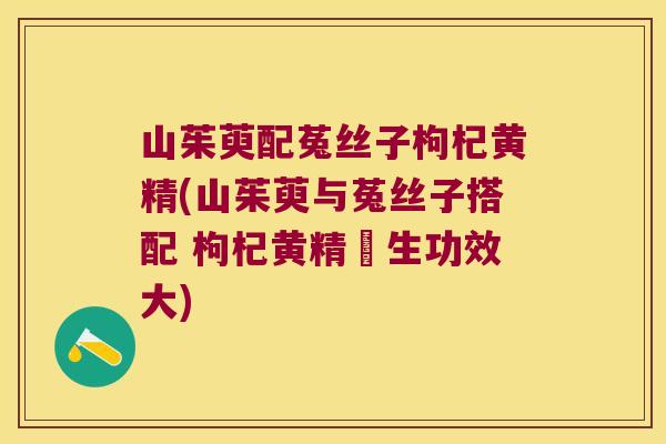 山茱萸配菟丝子枸杞黄精(山茱萸与菟丝子搭配 枸杞黄精養生功效大)