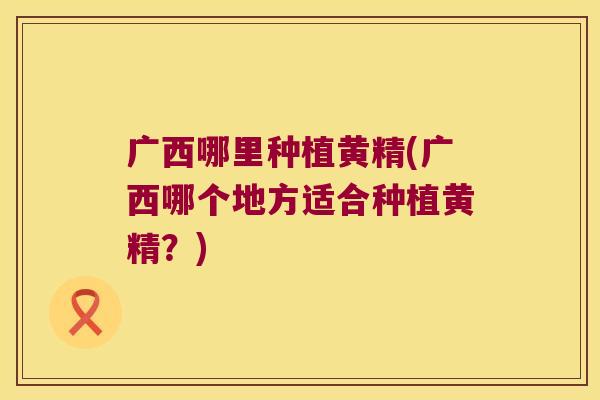 广西哪里种植黄精(广西哪个地方适合种植黄精?) 广西哪里种植黄精(广西哪个地方适合种植黄精?)
