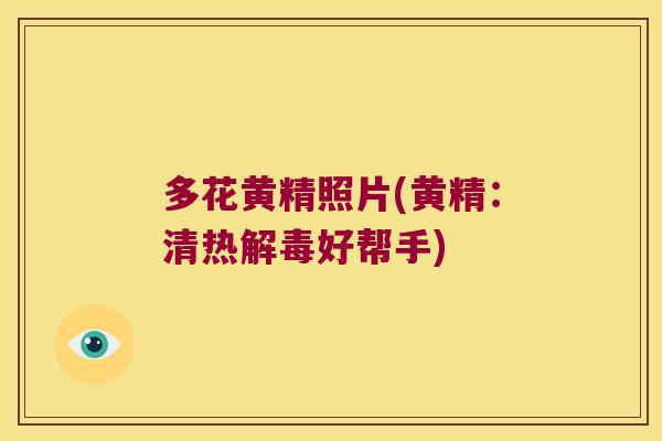 多花黄精照片(黄精:清热好帮手) 多花黄精照片(黄精:清热好帮手)