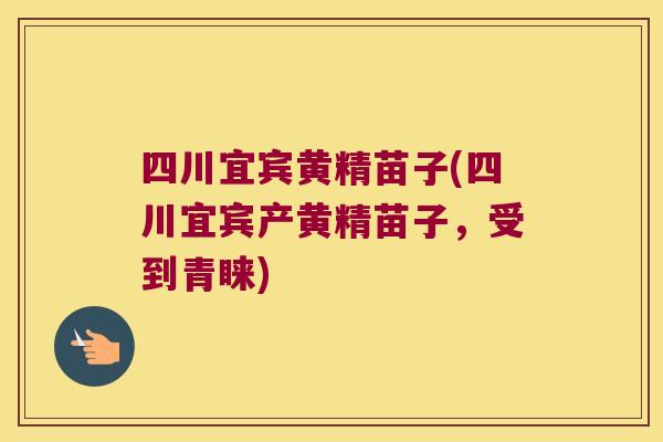 四川宜宾黄精苗子(四川宜宾产黄精苗子,受到青睐) 四川宜宾黄精苗子(四川宜宾产黄精苗子,受到青睐)