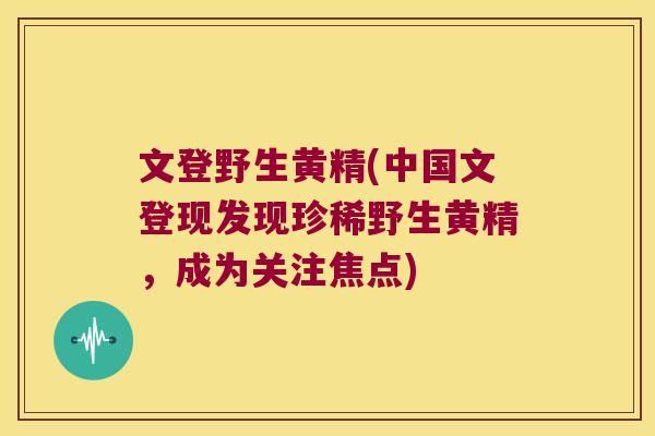 文登野生黄精(中国文登现发现珍稀野生黄精，成为关注焦点)