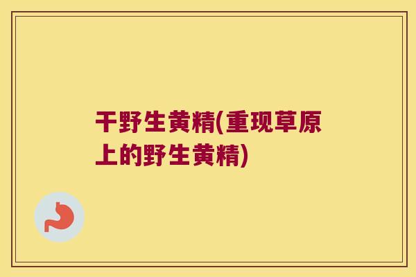 干野生黄精(重现草原上的野生黄精)