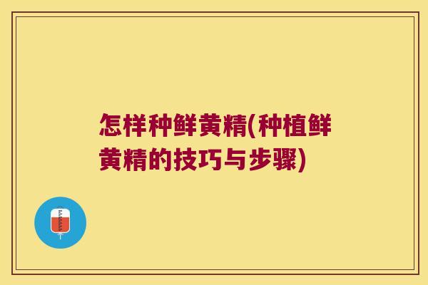 怎样种鲜黄精(种植鲜黄精的技巧与步骤)
