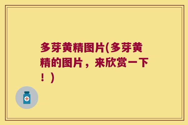 多芽黄精图片(多芽黄精的图片,来欣赏一下!) 多芽黄精图片(多芽黄精的图片,来欣赏一下!)